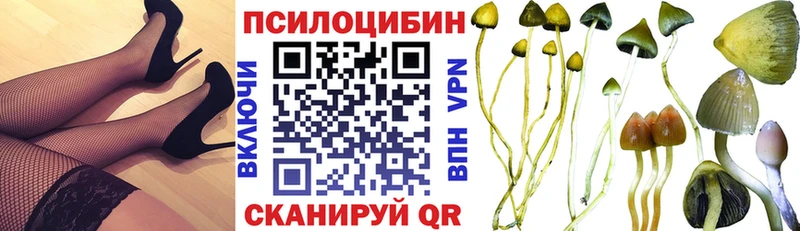 что такое   Верхоянск  hydra ссылка  Галлюциногенные грибы Cubensis 